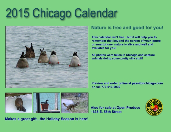 2015  calendar flier 2 - christa layout